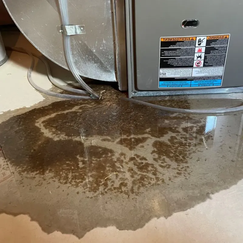 Pipe Burst and Leak Restoration in Fairfield County, CT